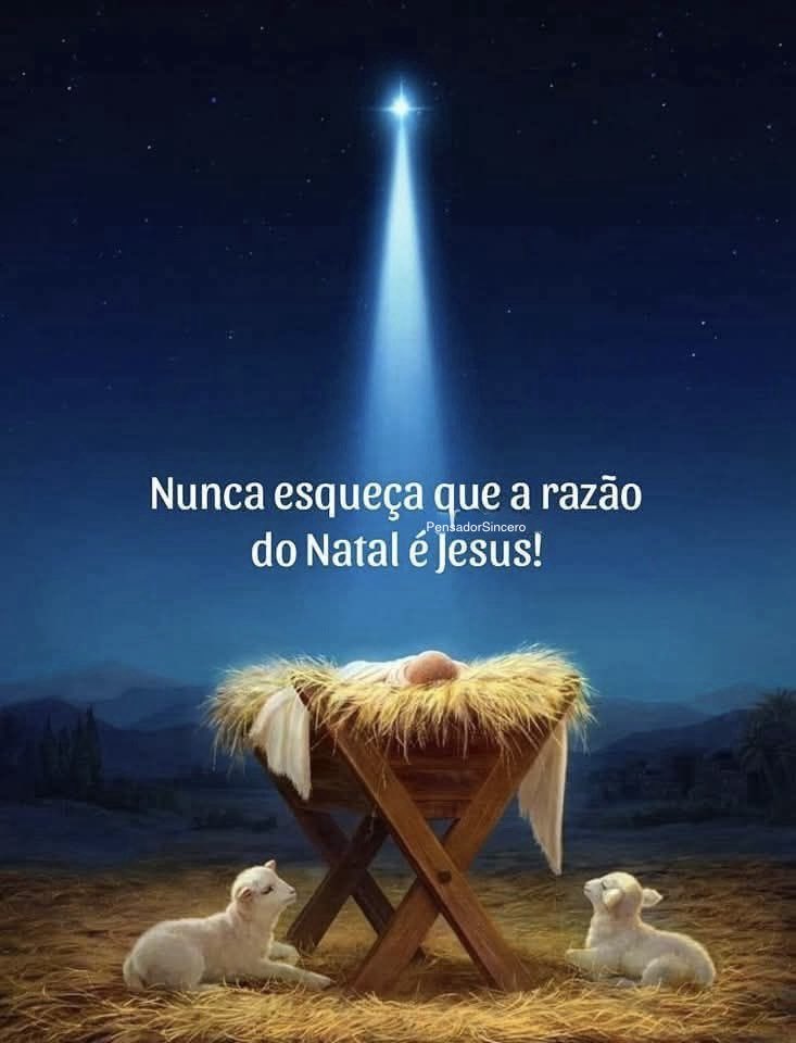 Pensador Sincero tweet media
