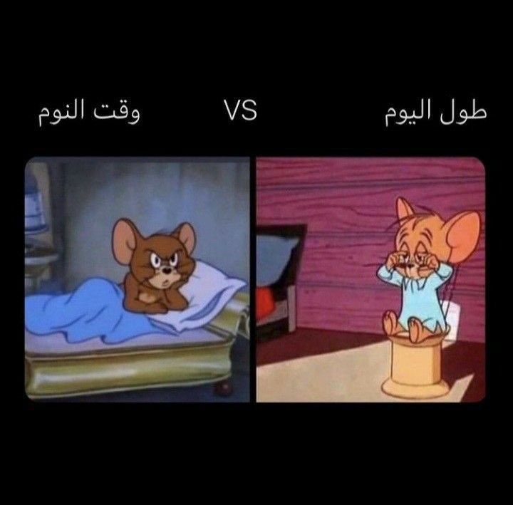 𝗦𝗵𝗮𝗱𝗶. tweet media