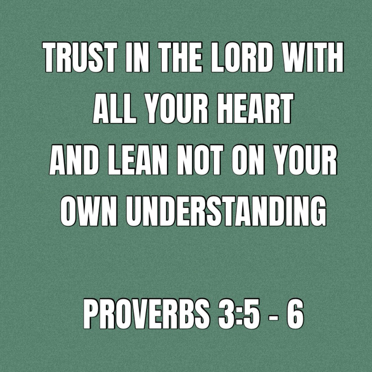 THE MARATHON STRAWBERRY STORE (@marathonberries) on Twitter photo 