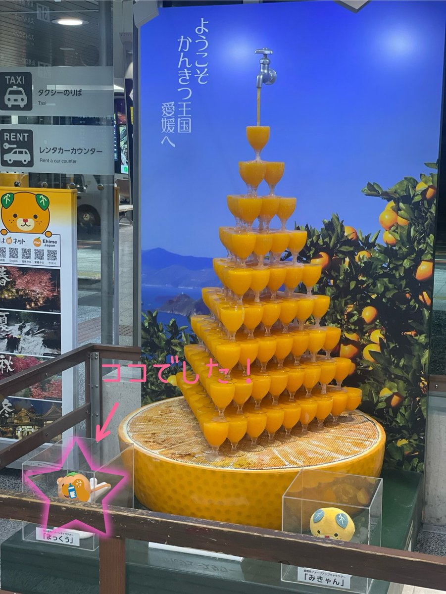 今朝のカリサガは意表を付いたこちらでした💁‍♀️

今年はサンタさんも来ないので、
たくさん美味しいものを食べて飲んで、
朝まで爆睡したいと思います🎄🍗🍻
皆さまも素敵なイブをお過ごしください。

本日もお疲れさまでした🦦🎅
#企業公式がお疲れ様を言い合う