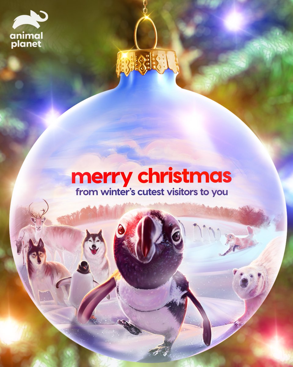 Animal Planet India tweet media