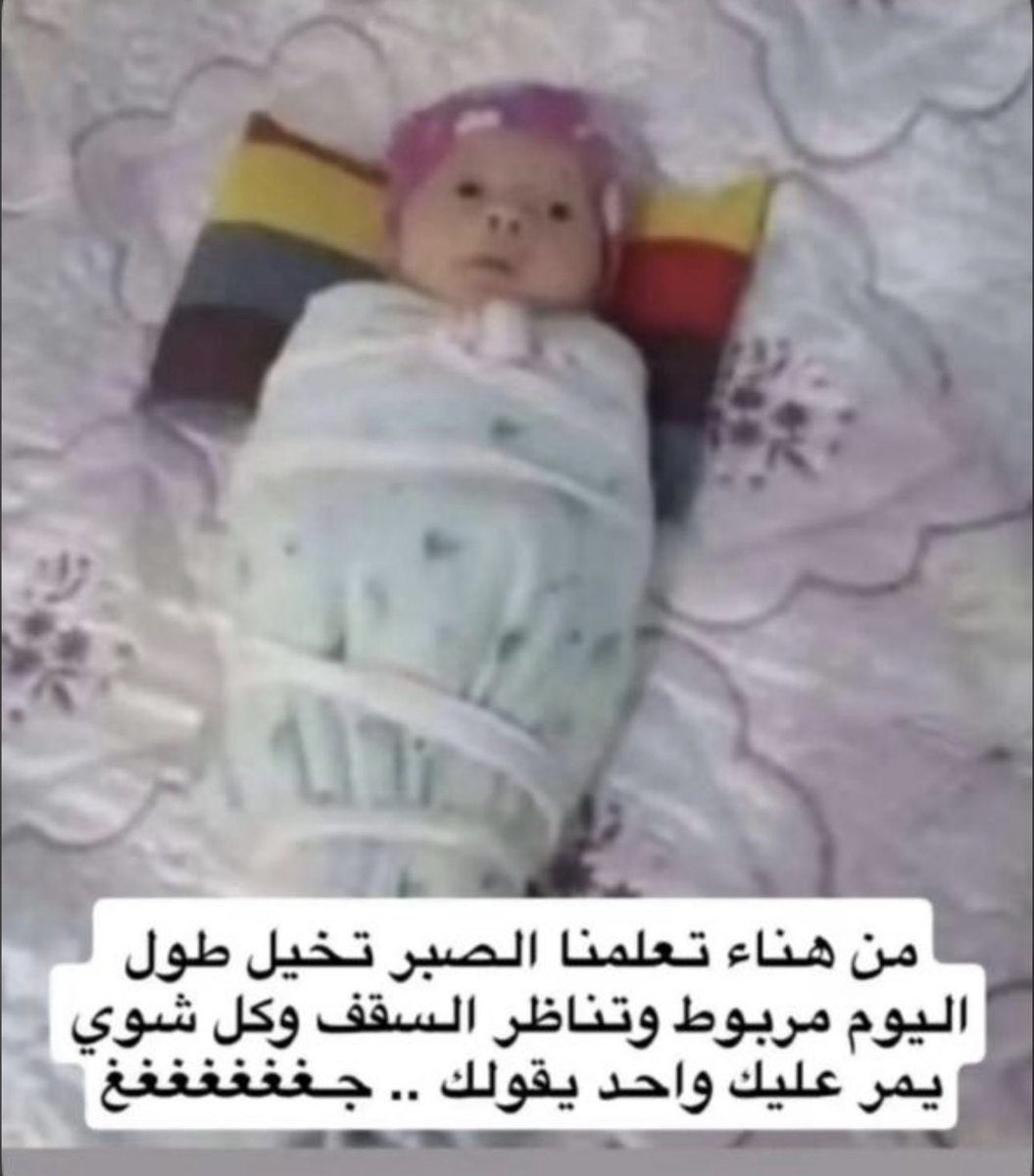 منصور tweet media