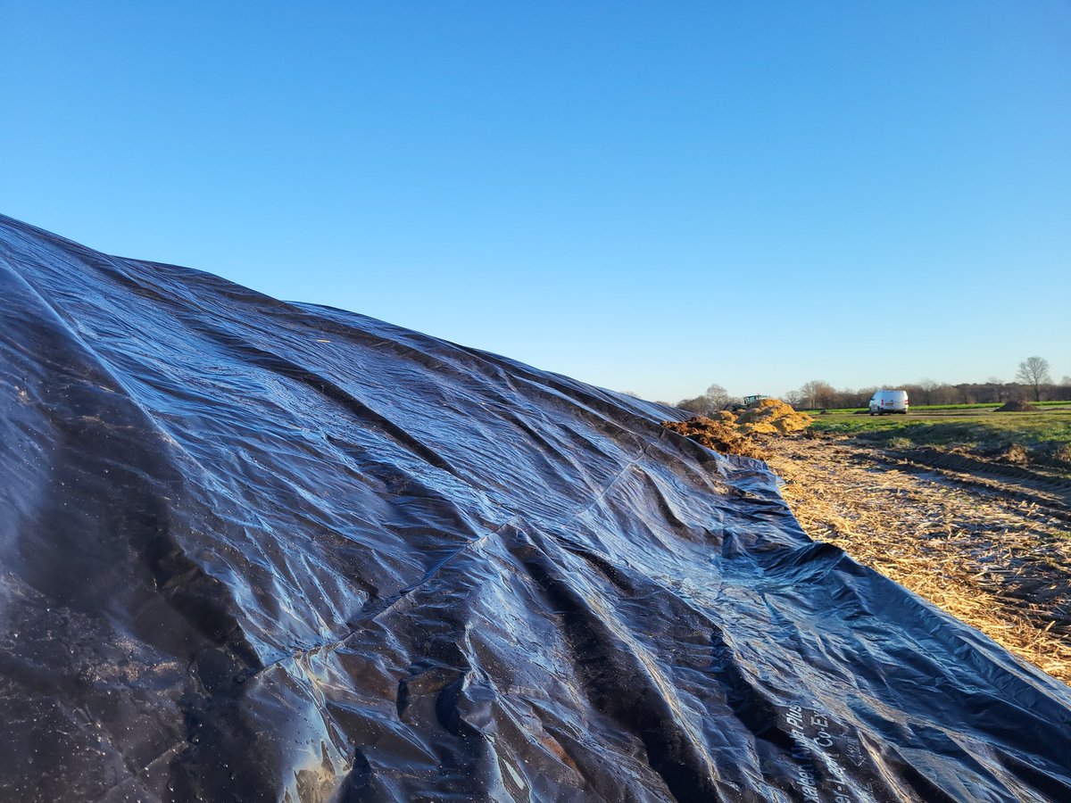 Johan Emmens tweet media