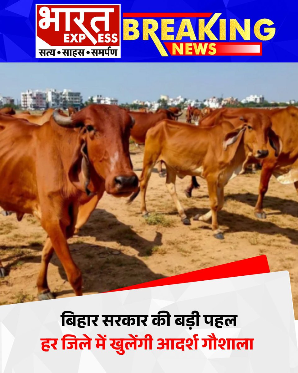 BhaaratExpress's tweet image. बिहार सरकार ने ऐलान किया है कि राज्य के सभी जिलों में आदर्श गौशालाएं स्थापित की जाएंगी, जिससे गायों की देखभाल और संरक्षण बेहतर तरीके से किया जा सकेगा।
#BiharGovernment #GoshalaInitiative #CowProtection #AnimalWelfare #BiharNews