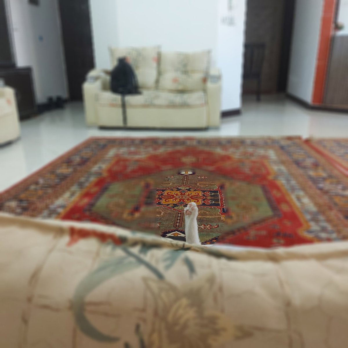 -قند و عسل این خونه کیه؟
+من من من🐾