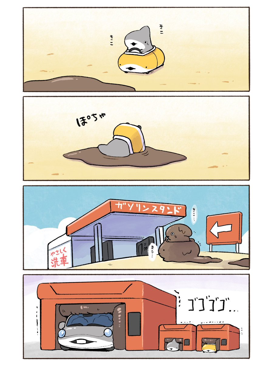 さっつん。ページ サメカーとサメ洗い