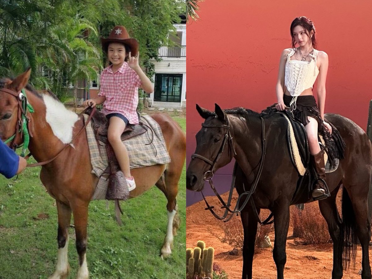 DAY 1                                      DAY 100