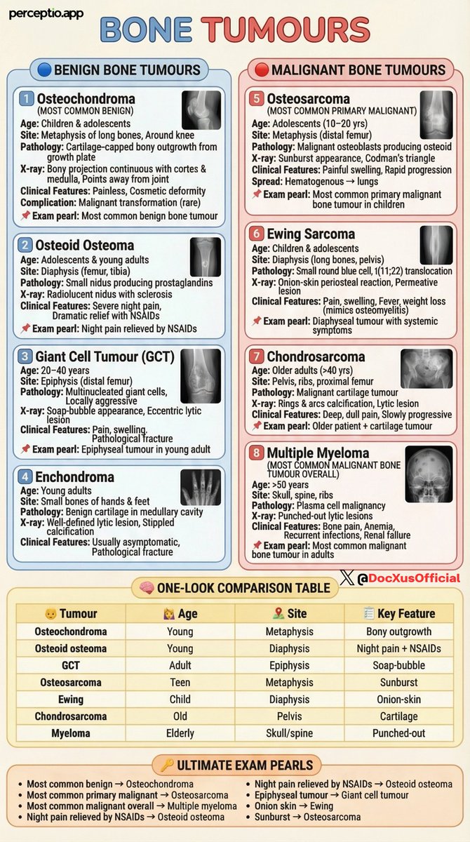 docxusofficial's tweet image. Bone Tumours - Rapid Revision