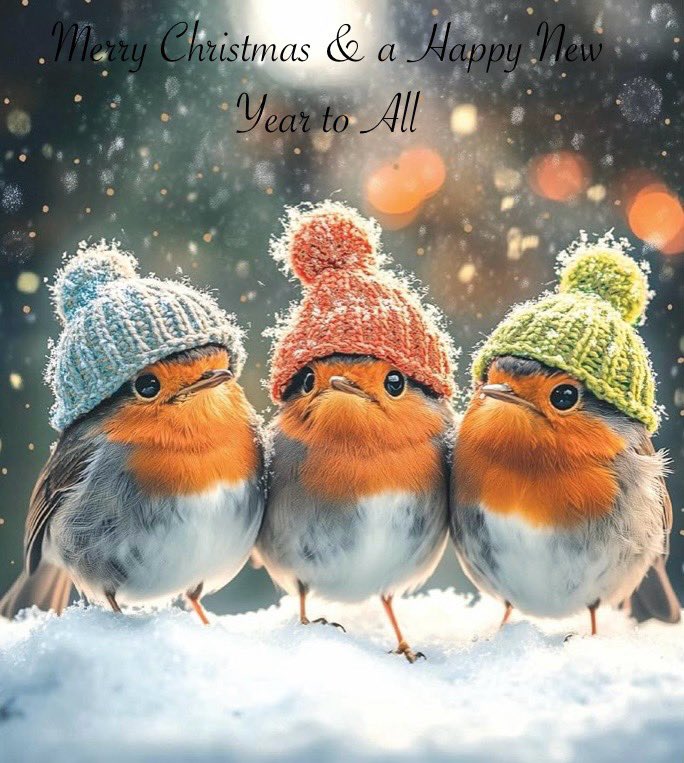 K L Langton. Master Plasterer tweet media