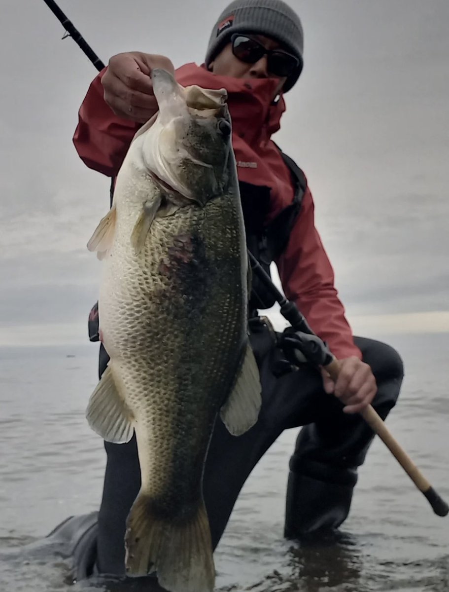 334in.com】ranging rod.QGJ0b