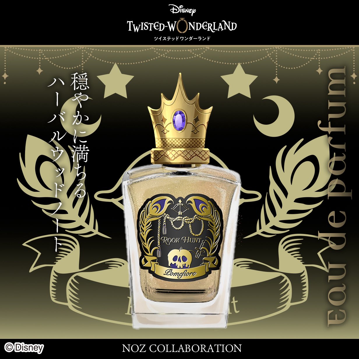 NOZ COLLABORATION on X: 