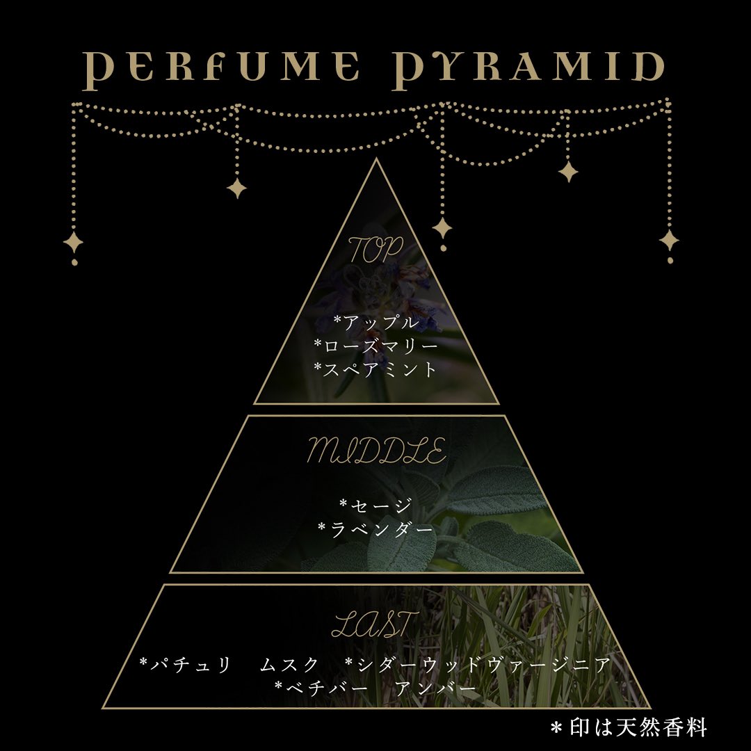 NOZ COLLABORATION tweet media