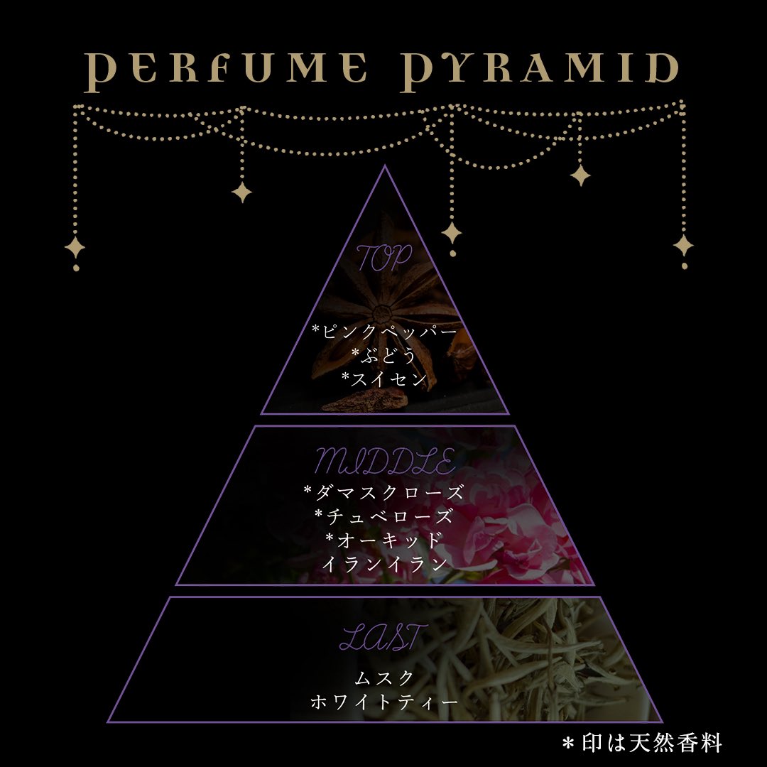 NOZ COLLABORATION tweet media