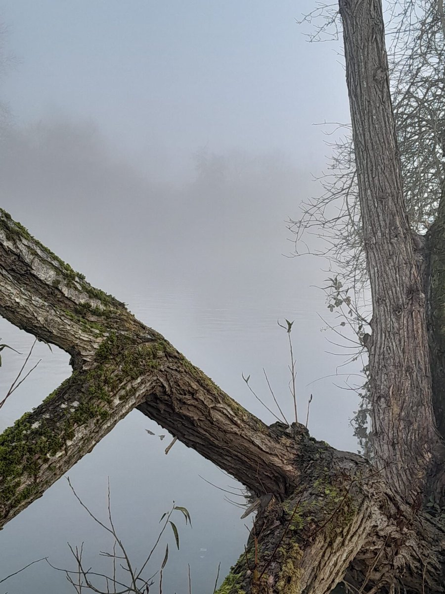 Some beautifully misty shots from earlier this month, captured by our grounds team 🌫️✨ But no fog can dampen our Christmas spirit! Who’ll be exploring Thames Valley Park this festive season?