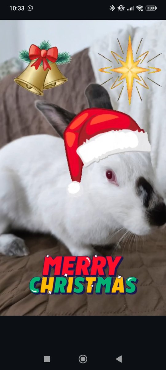 🎄☃️💕