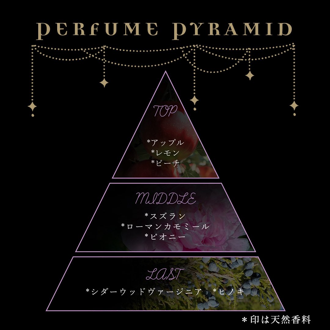 NOZ COLLABORATION tweet media