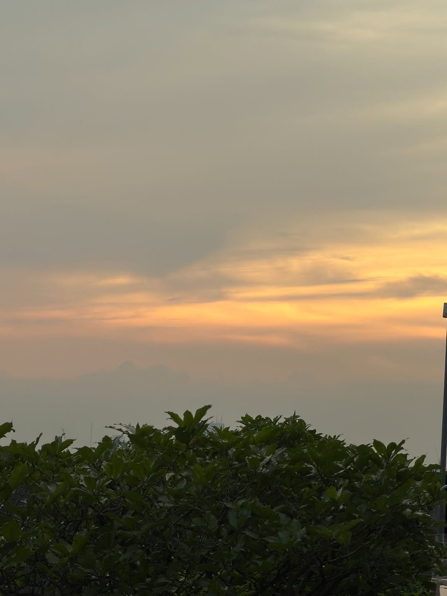 𝐜𝐡𝐨𝐤𝐮𝐧 tweet media