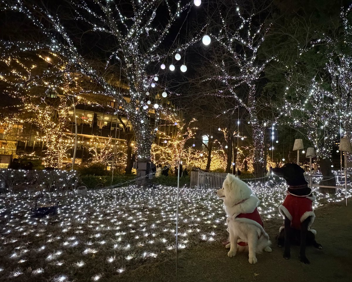 rico！ (@rico768089) / Posts / X