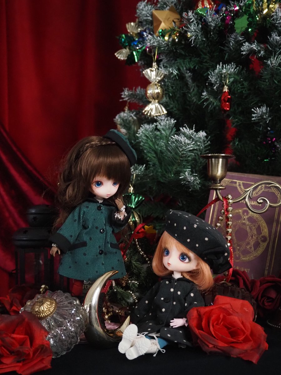 🎄Merry Christmas🎄

#ハルモニアシリーズ
#harmoniabloom