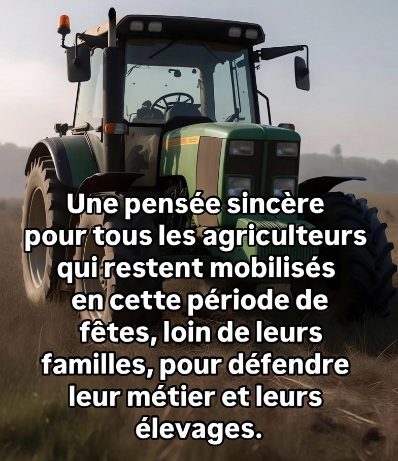 csibon27's tweet image. 🥰😇