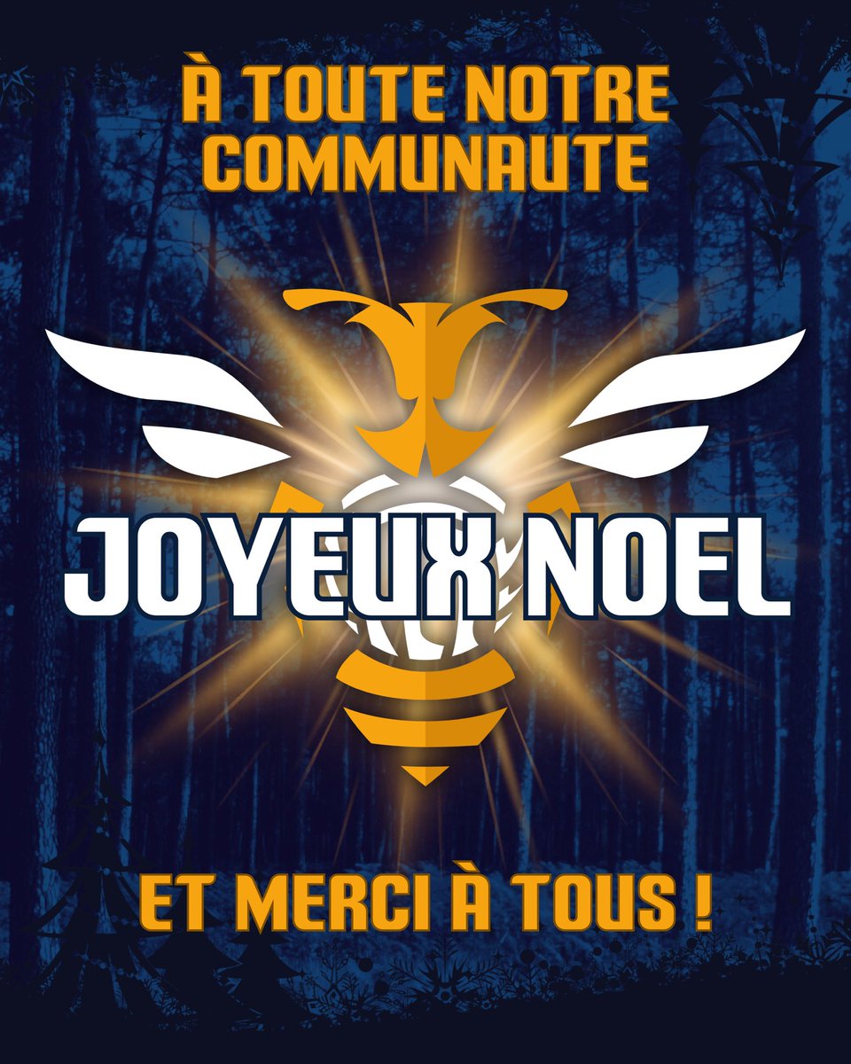 ASIVB's tweet image. JOYEUX NOËL 🎄
Merci à toutes celles et ceux qui font vivre l’aventure L’Abeille Girondine ASI : dirigeants, bénévoles, équipes, familles, partenaires, supporters…
Et un immense bravo à nos joueurs et joueuses, porteurs de nos valeurs partout ! 🙏🐝
