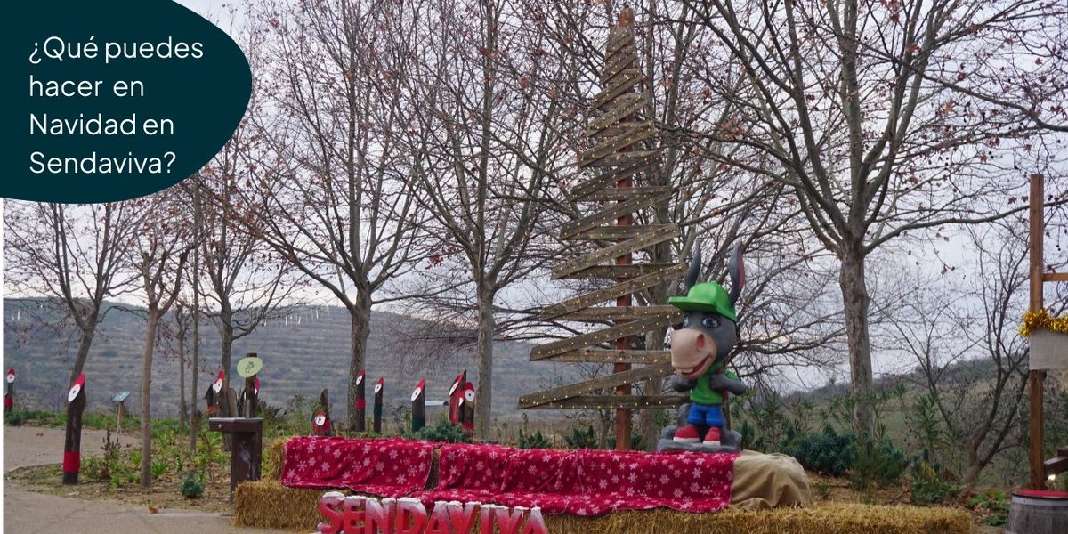 Sendaviva tweet media