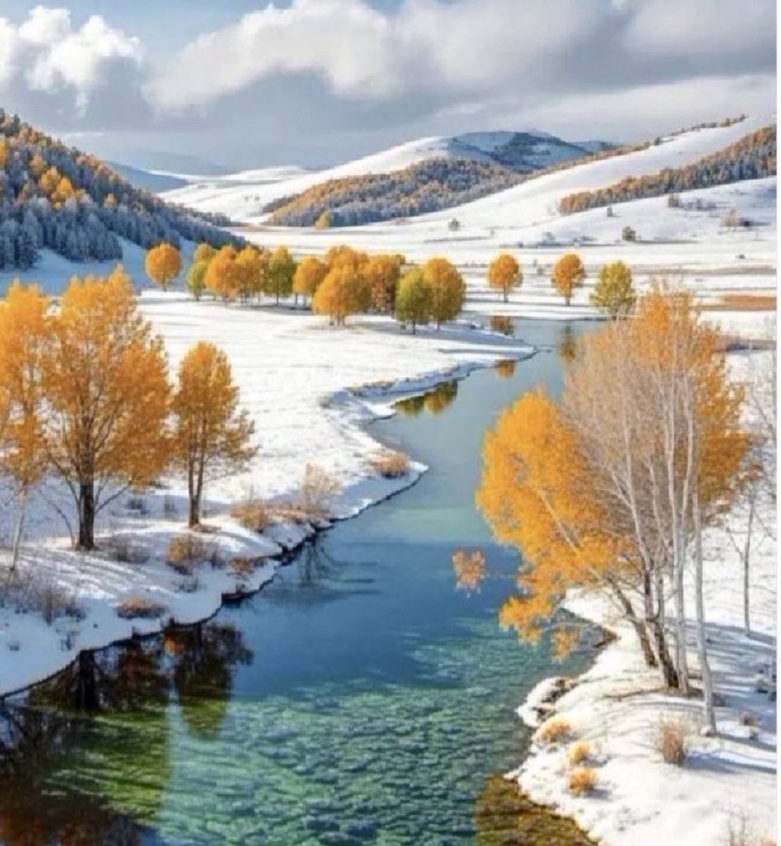 A. Anaraa tweet media