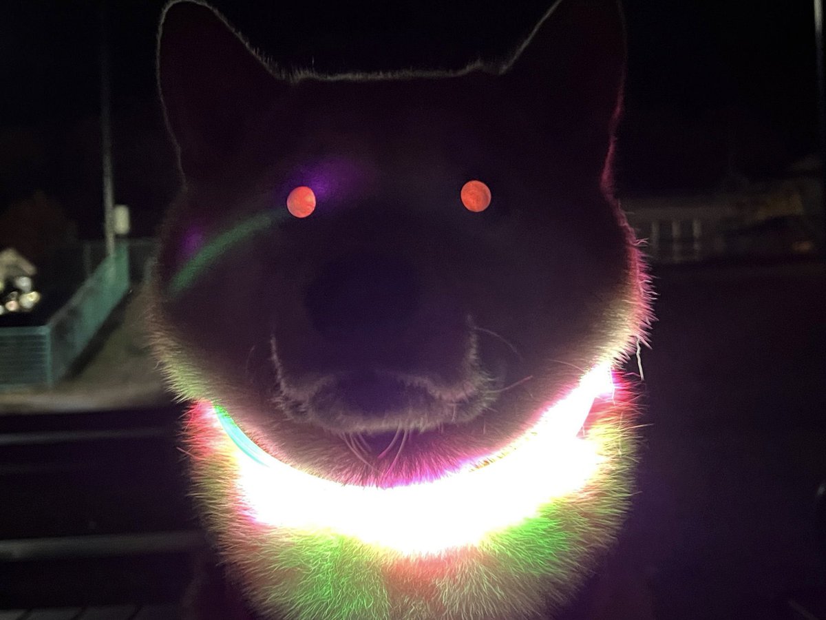 ナオ (@nao901) / Posts / X