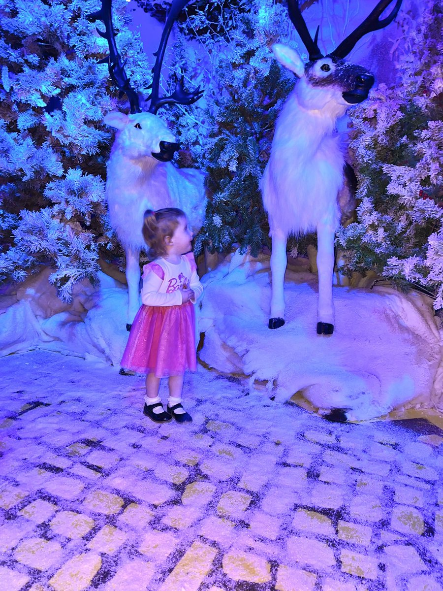 Jenny Dixon tweet media