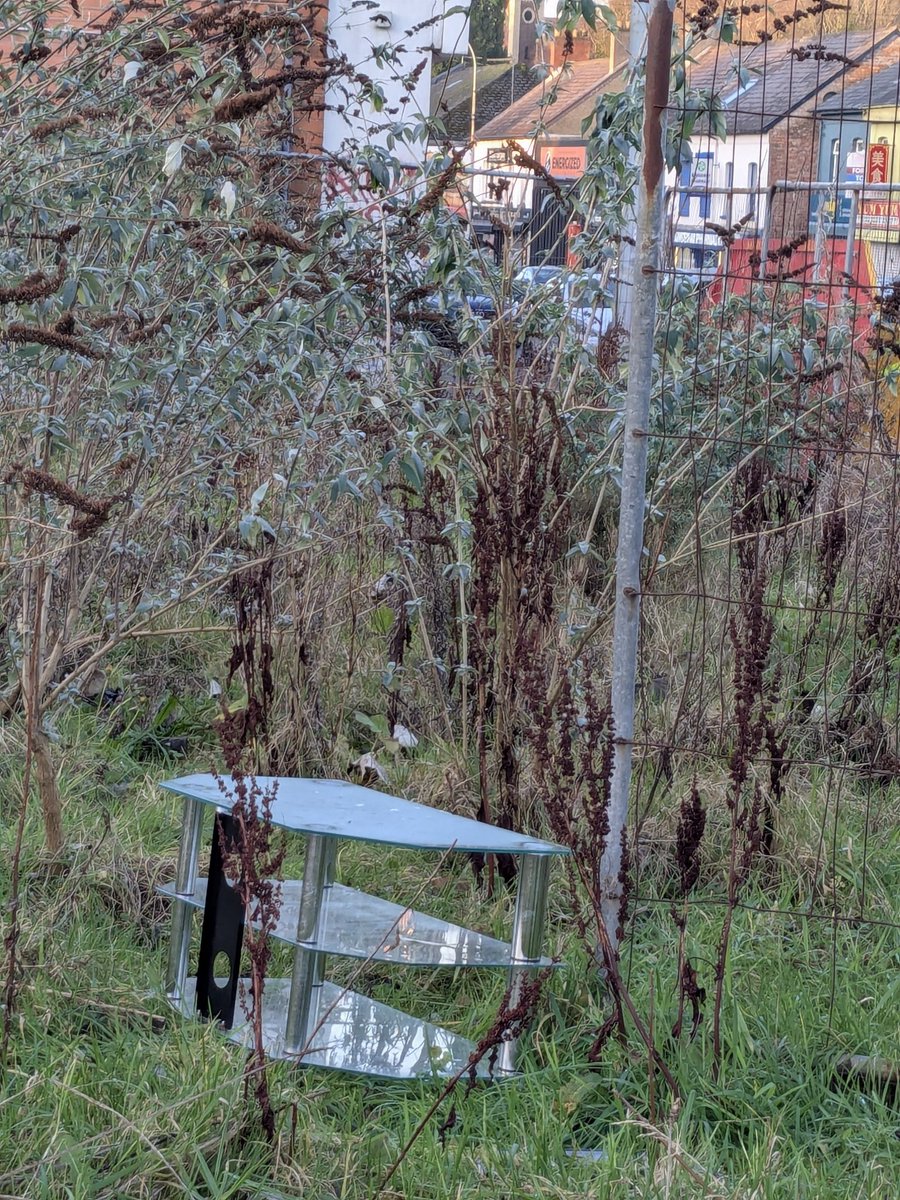 frank_broadcast's tweet image. Someone getting a new TV stand from Santa? So they just thrown the old one into the bushes near the village street. #noshame