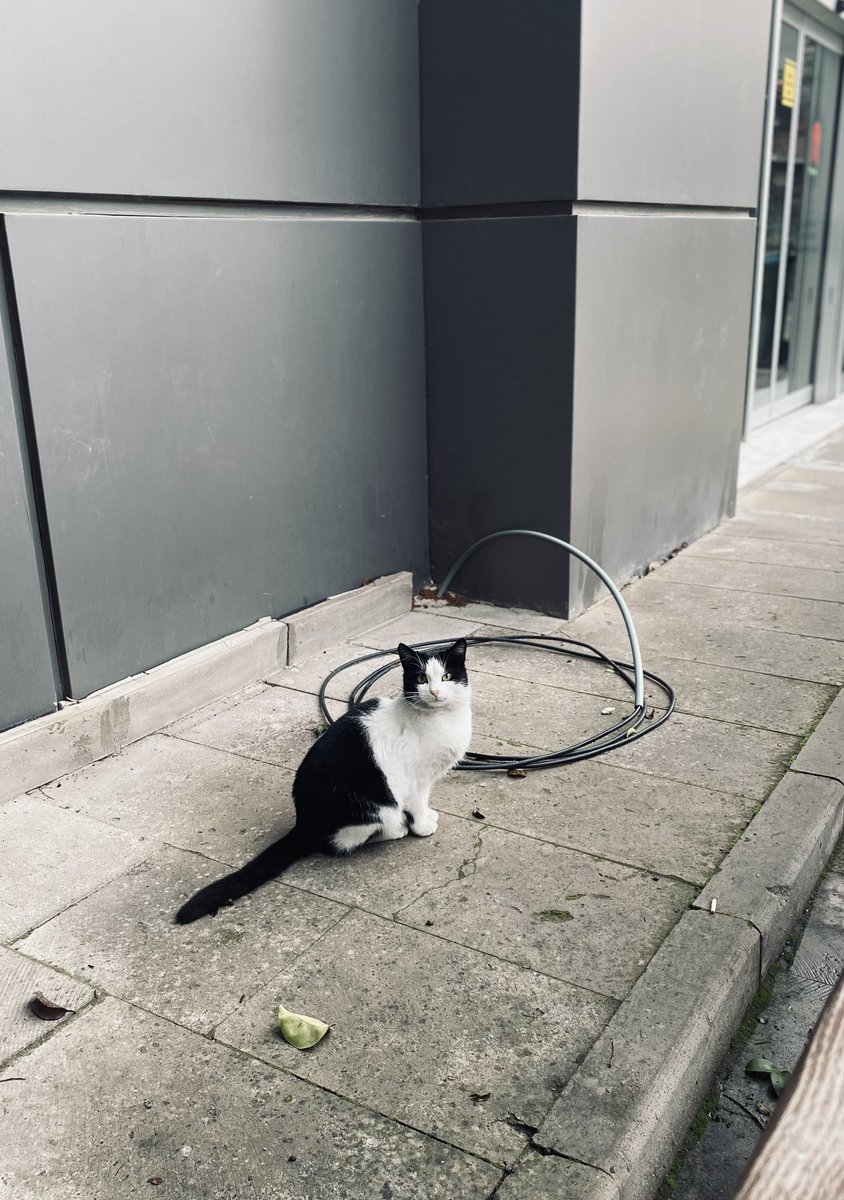 確認ページ♡にゃんこ＆わんこ d7c56e5f9dd2dc67de5dd4215412e7