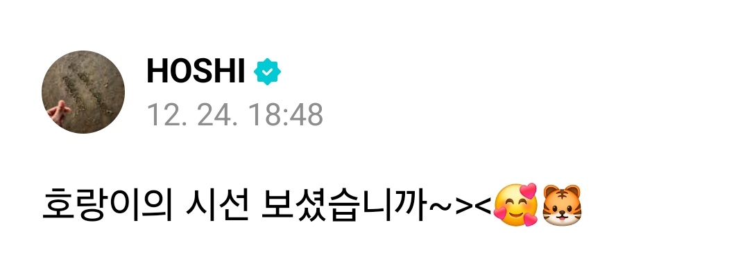 세럽 tweet media