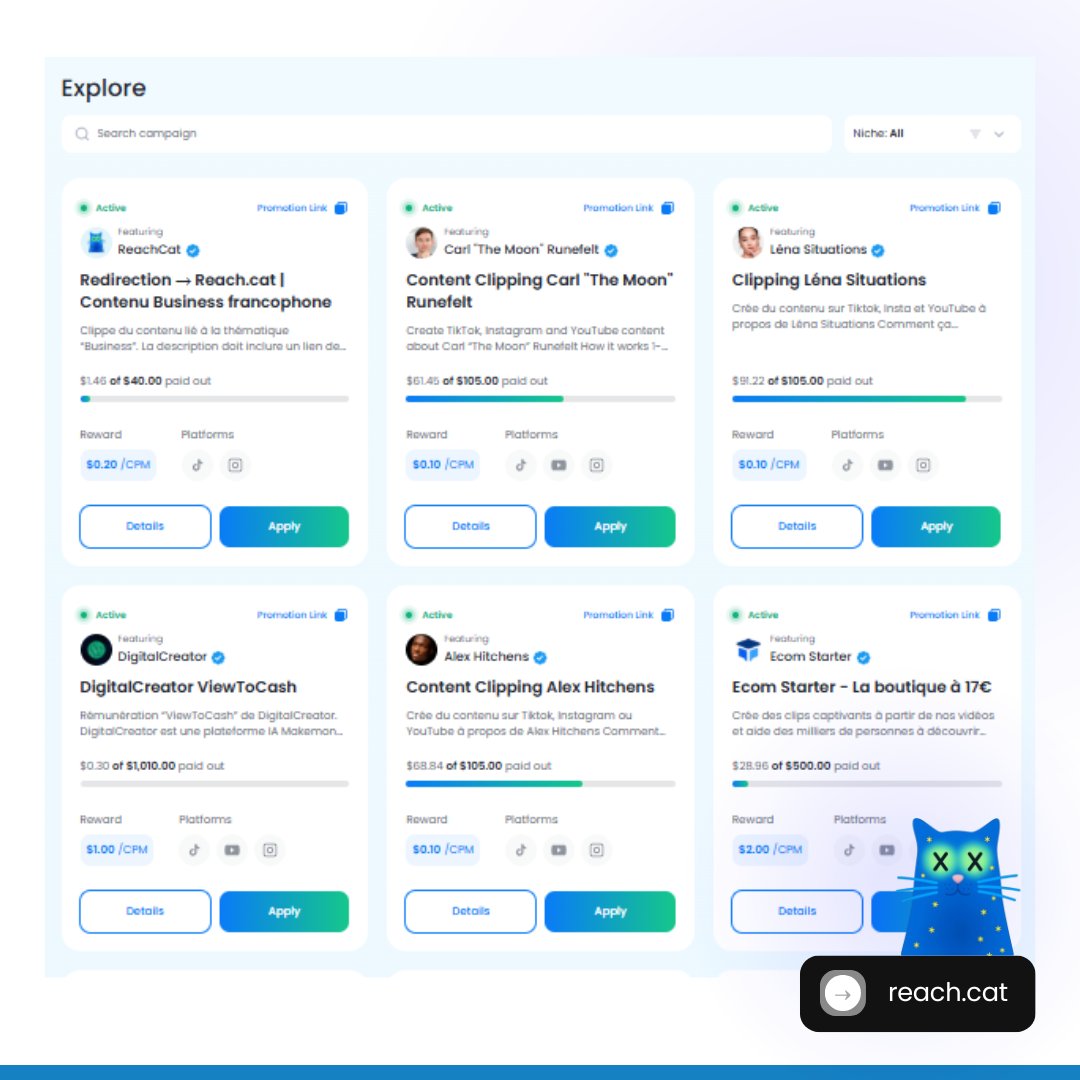 Reach.Cat tweet media