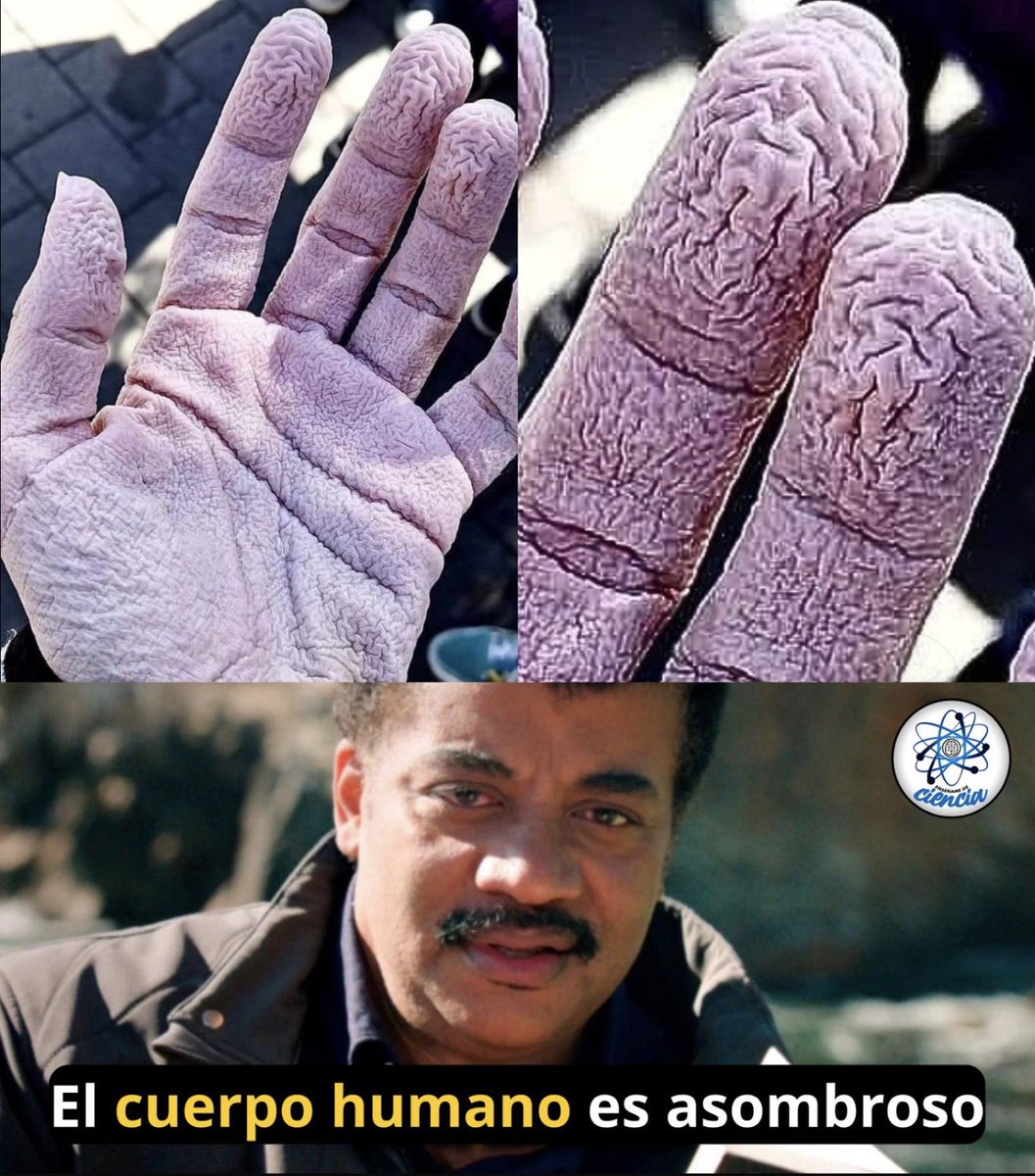 Enséñame de Ciencia tweet media