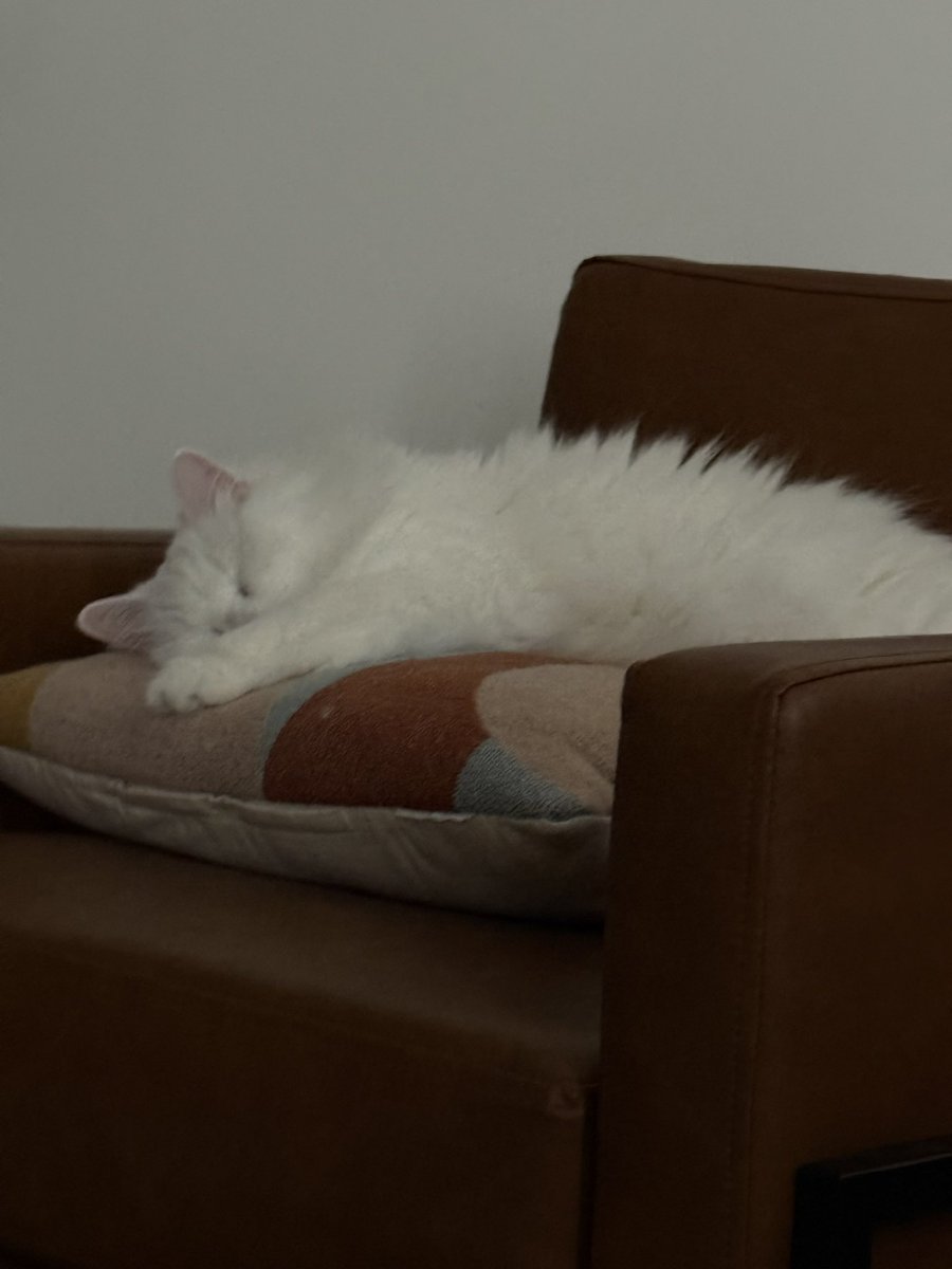 neoncontrol's tweet image. Bi-yearly scroll where I like a bunch of tweets from my the comfort of my bed