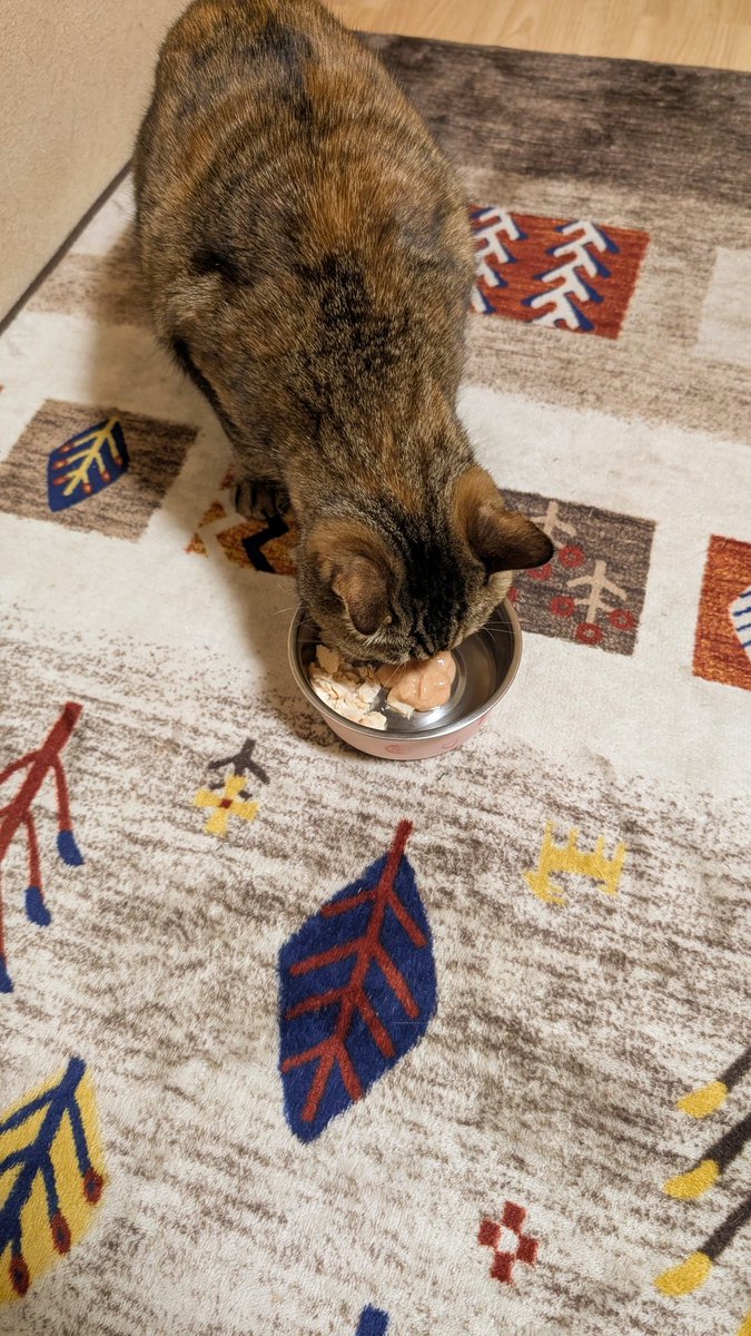 __takemaru__'s tweet photo. メリークリスマス🌟🎄⭐️
今日はローストチキン🍗とワイン🍷です😺
猫は猫用チキンとチュール食べてます😊
#メリークリスマス 🎅 https://t.co/OKLhTqEkDl