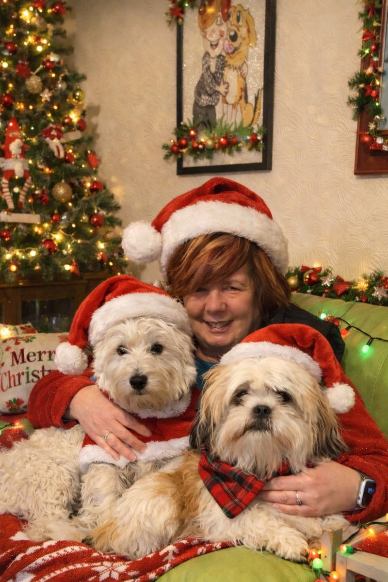 Dillon & Dougal & Angel Eric Da Dog 🌈🐾 tweet media