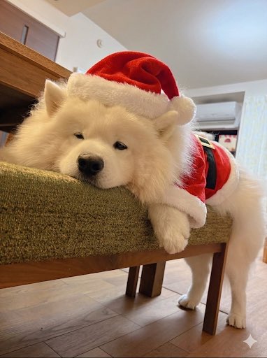 ✢まゆみ★！ まゆみ🌏️🍮 (@uk198216) / Posts / X