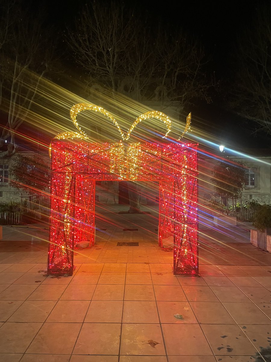 🌟Joyeuses Fêtes! 🌟