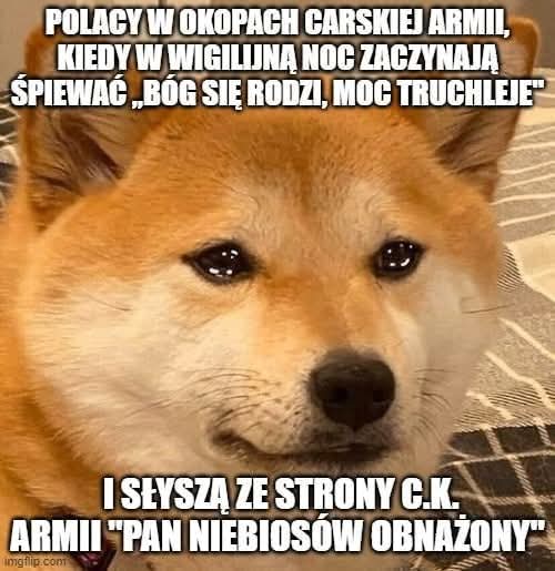 GRH Bateria Motorowa Artylerii Przeciwlotniczej tweet media