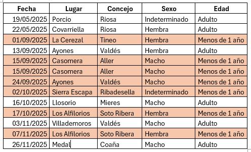 ascel_lobo's tweet image. Asturias @GobAsturias felicita las fiestas anunciando que desde Mayo ha matado 13 lobos 🐺, 7 de ellos cachorros &amp;lt; del año de edad sin dentición definitiva formada ni capacidad para depredar por si solos. ¿Esto son los controles "científicos, técnicos y selectivos" @Marcelotineo?