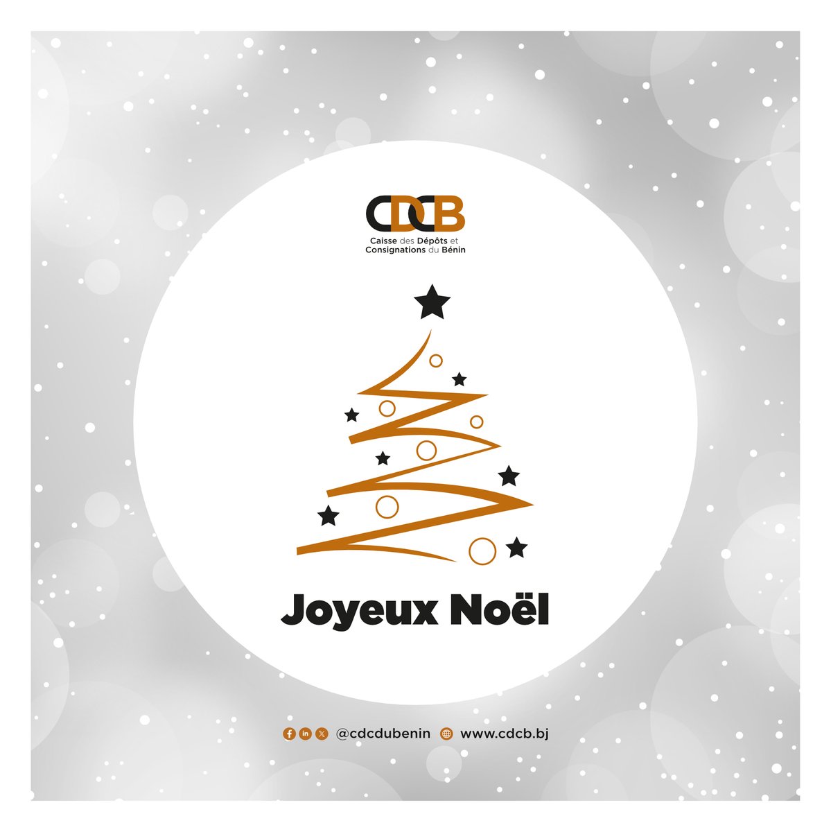Caisse des Dépôts et Consignations du Bénin tweet media