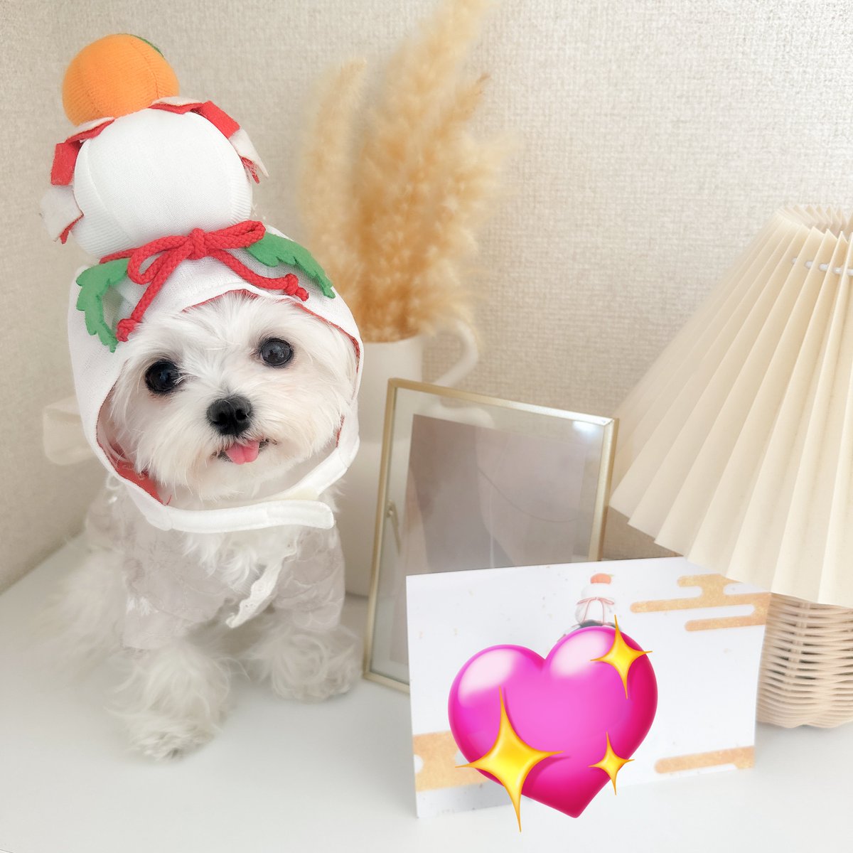 【専用】にくまん　様 にくまん