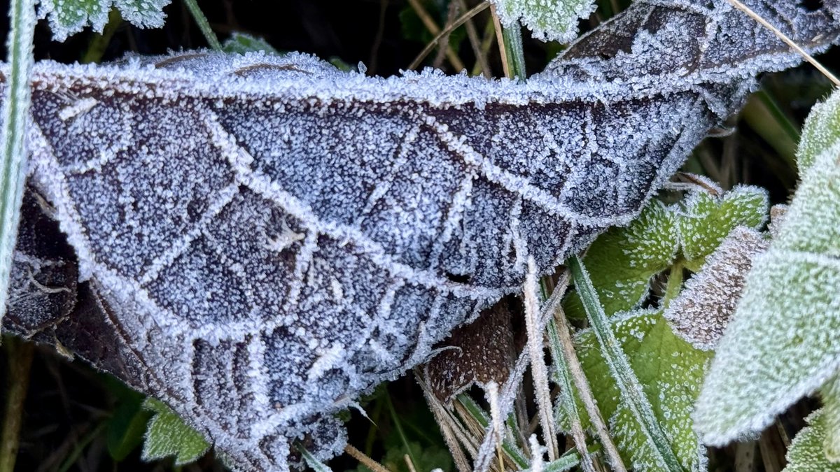 JolandaBakkker's tweet image. ⁦@weerverteller⁩ @BuienRadarNL ⁦@WilliamHuizinga⁩ ⁦@weermanrobert⁩ ⁦@whoebert⁩ ⁦@EdAldus⁩ 🧊 🥶 ⁦@MeteoVoorne⁩ ⁦@Weerplaza⁩ eerste tekenen van #winter #ijs #iceicebaby ⁦@Weermeisje⁩ ⁦@janvissersweer⁩