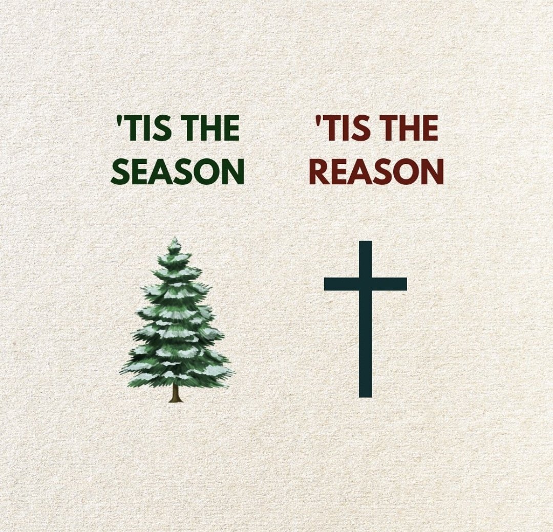 Merry Christmas! May your heart be light and your days be joyful.
#merrychristmas #Christmas2025