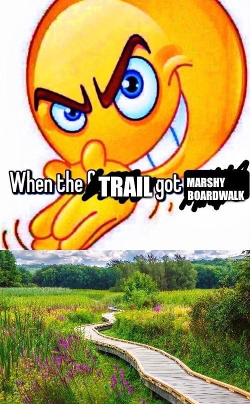 equine__dentist's tweet image. 