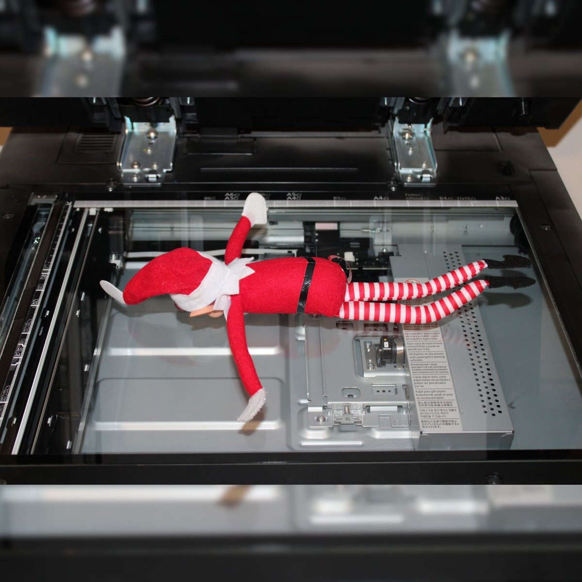 Fleming Buildings tweet media