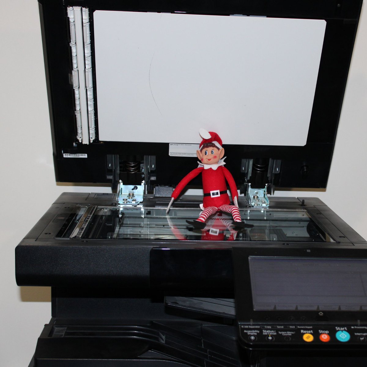 Fleming Buildings tweet media