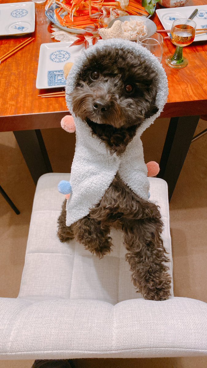 メリークリスマス🎄🎁✨