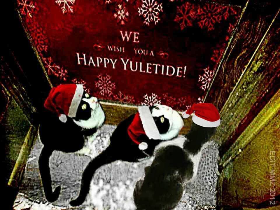 Wishing everyone Yuletide blessings. Caz xx